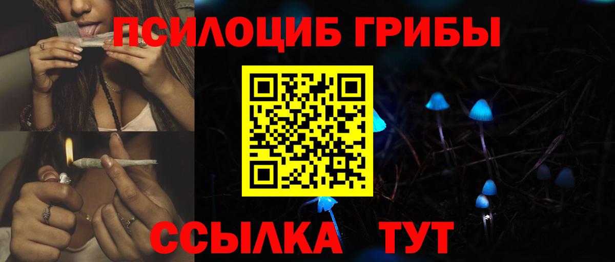 Павлово  Псилоцибиновые грибы прущие грибы  купить  сайты  Вход с VPN 