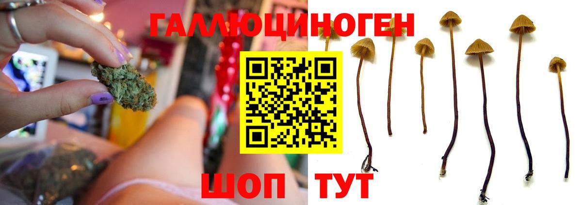 Галлюциногенные грибы Magic Shrooms Павлово